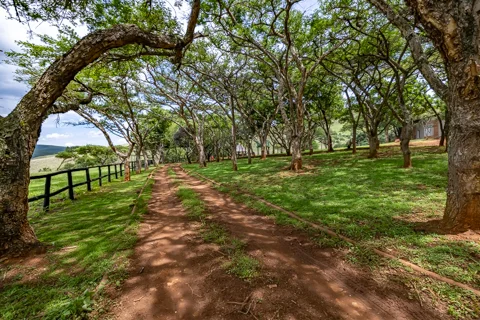 Rosesands Mountain Lodge