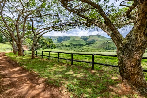 Rosesands Mountain Lodge