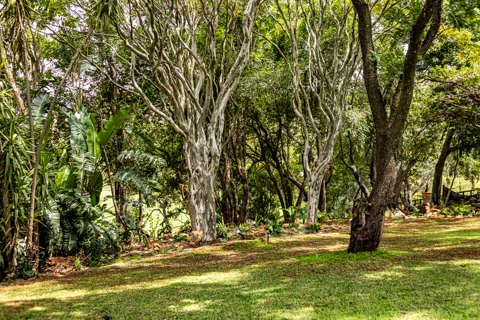 Rosesands Mountain Lodge