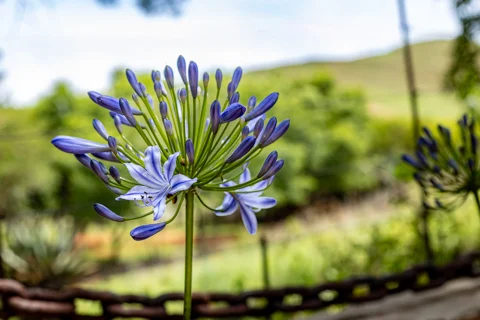 Rosesands Mountain Lodge