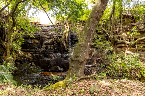 ​Lodge Experiences​ | Rosesands Mountain Lodge