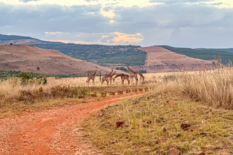 ​Lodge Experiences​ | Rosesands Mountain Lodge