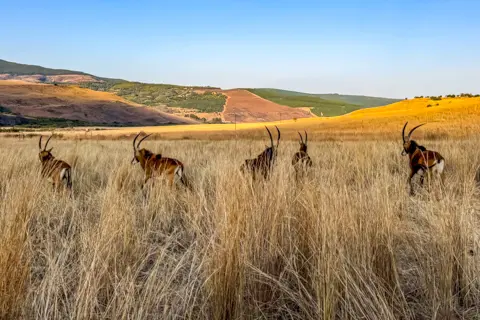 ​Lodge Experiences​ | Rosesands Mountain Lodge