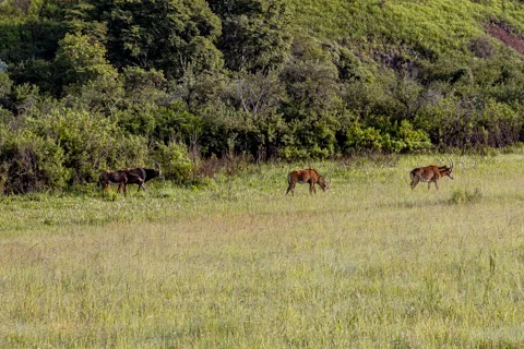 ​Lodge Experiences​ | Rosesands Mountain Lodge