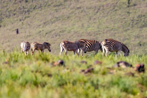 ​Lodge Experiences​ | Rosesands Mountain Lodge