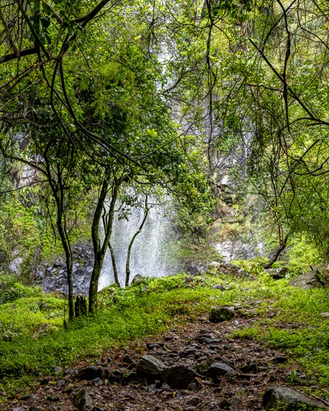 Comatie Waterfall Camp | Rosesands Mountain Lodge