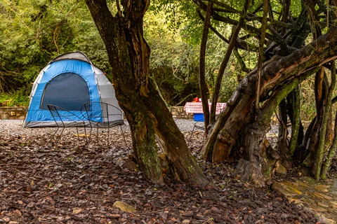 Comatie Waterfall Camp | Rosesands Mountain Lodge